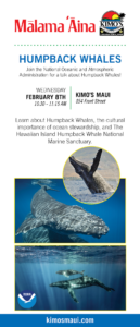 Humpback Whales Flyer